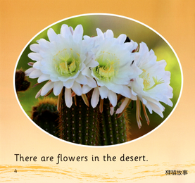 In the Desert绘本故事第4页