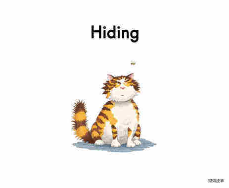 Hiding绘本故事第2页