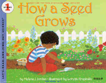 How a Seed Grows