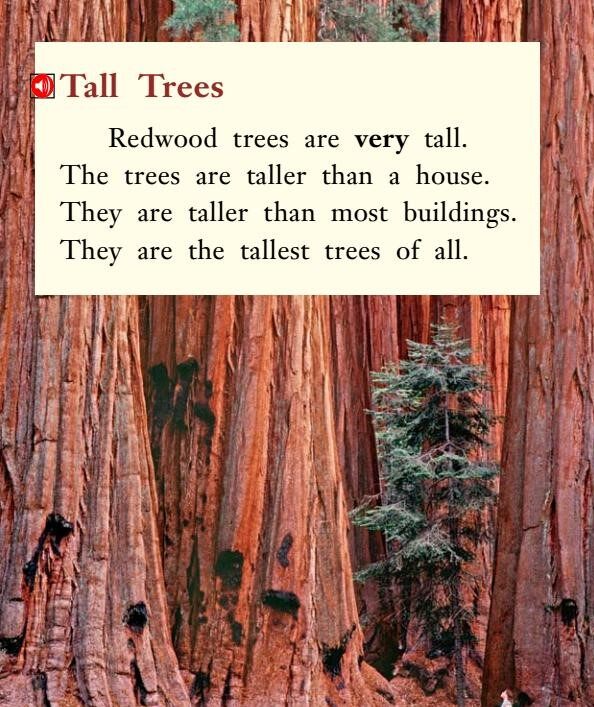 All About Redwood Trees绘本故事第3页
