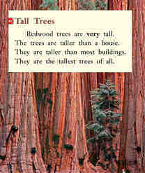 All About Redwood Trees绘本故事第3页
