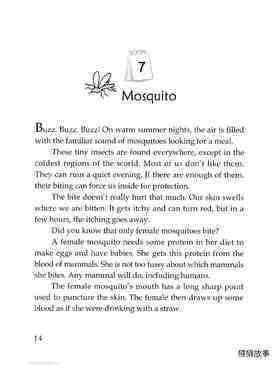 Mosquito绘本故事第2页
