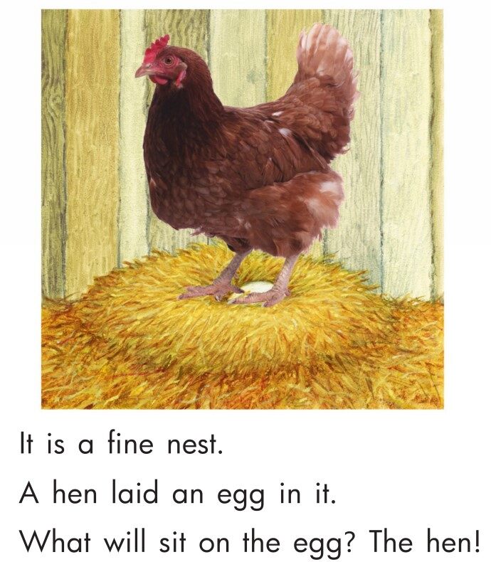 Where Do Animals Live？绘本故事第3页