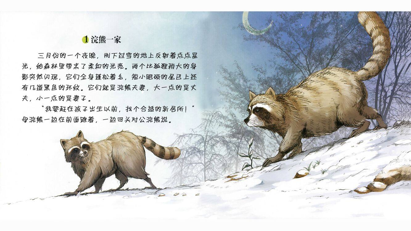 淘气的小浣熊阿嘉绘本故事第4页