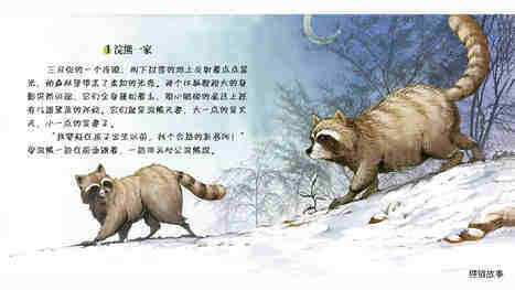 淘气的小浣熊阿嘉绘本故事第4页