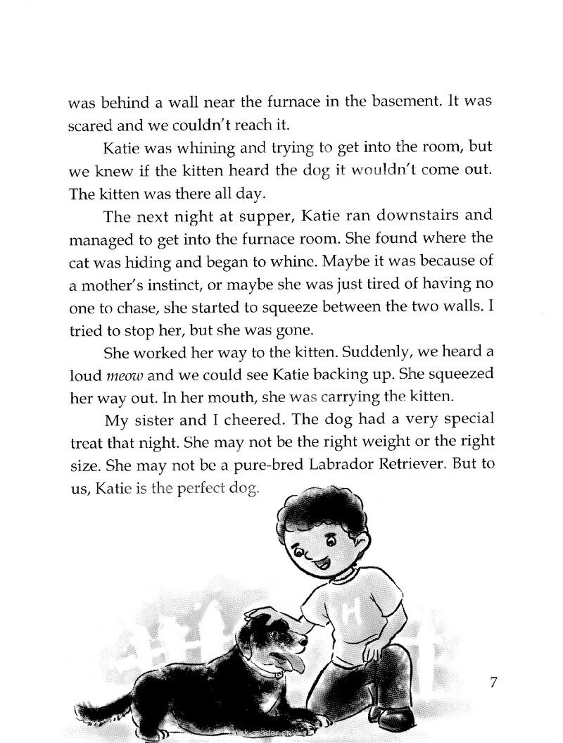 Our Perfect Puppy (II)绘本故事第3页