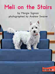 Meli on the stairs
