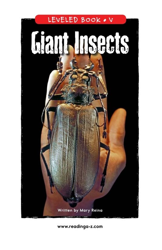 Giant Insects绘本故事第2页