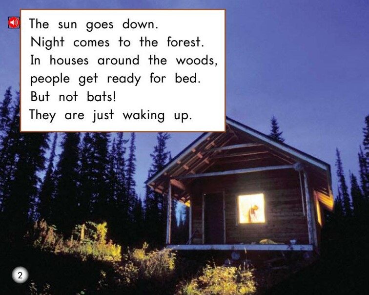 All About Bats绘本故事第3页