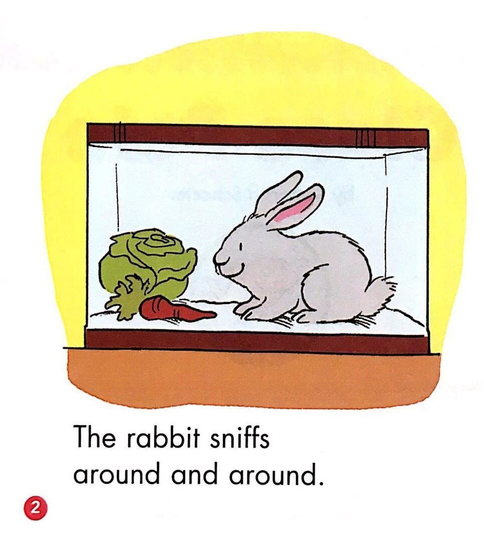 Class pets绘本故事第2页