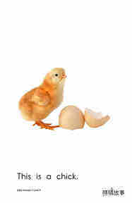 Baby Animals绘本故事第5页
