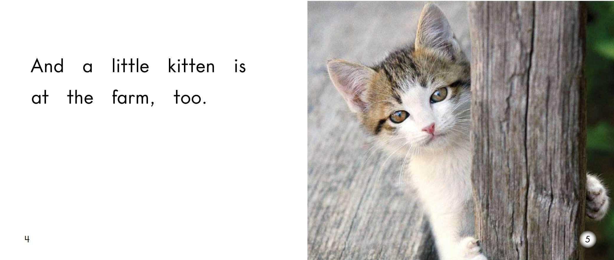 At the farm绘本故事第4页