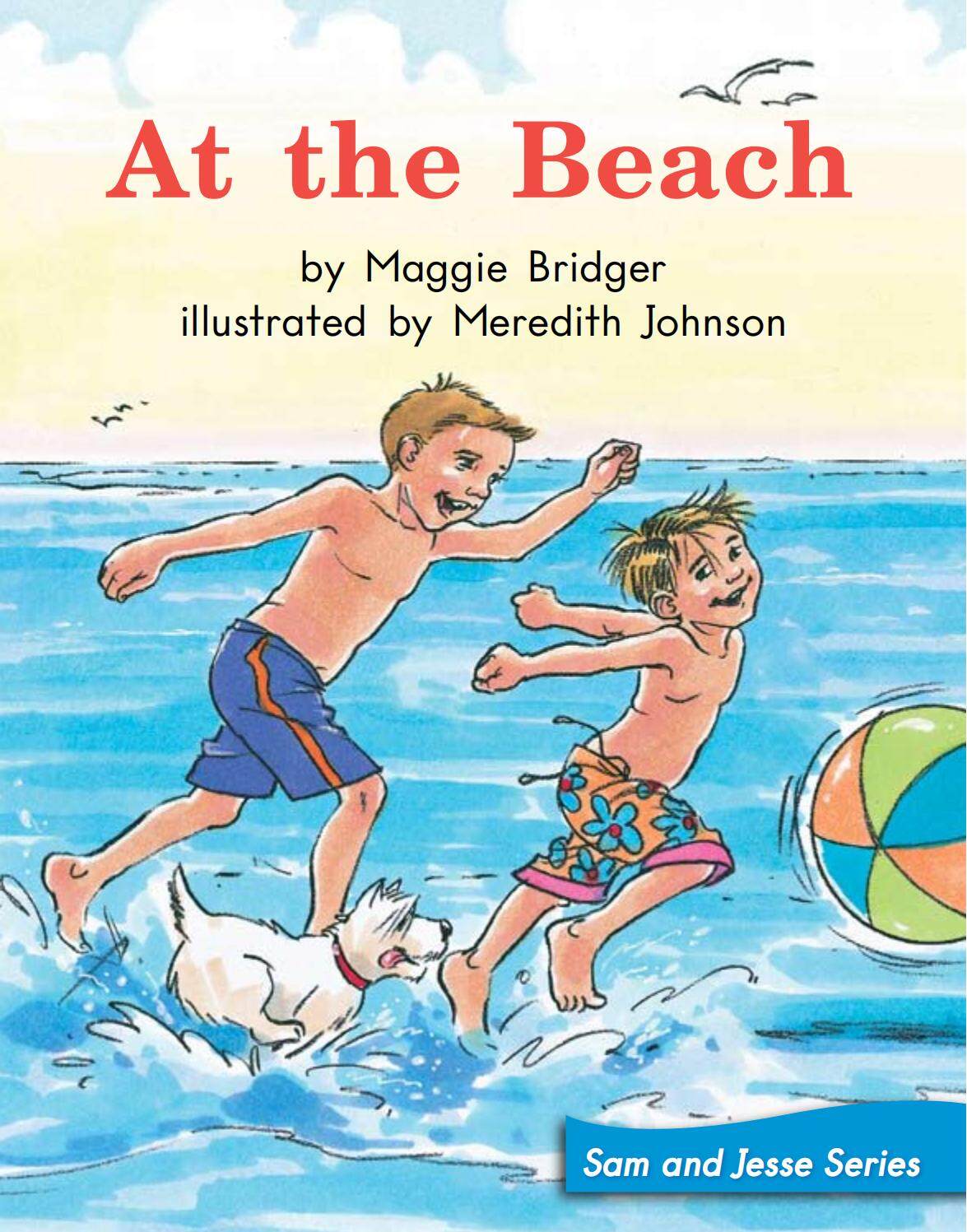 At the Beach绘本故事第2页