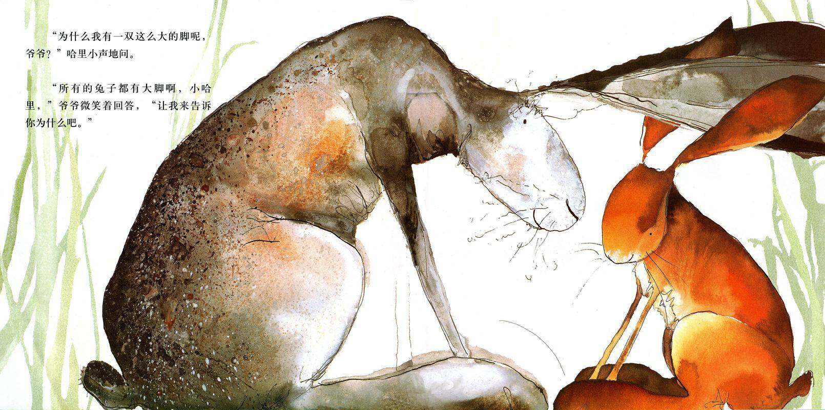 哈里的大脚绘本故事第3页
