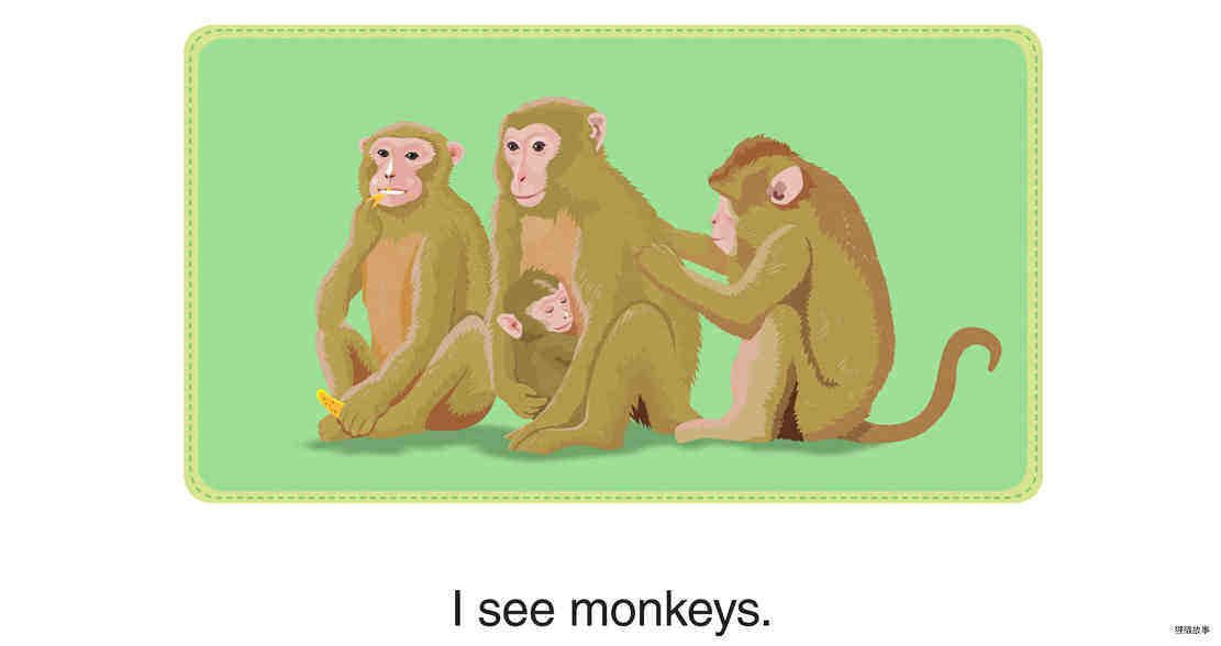 I See Monkeys绘本故事第2页