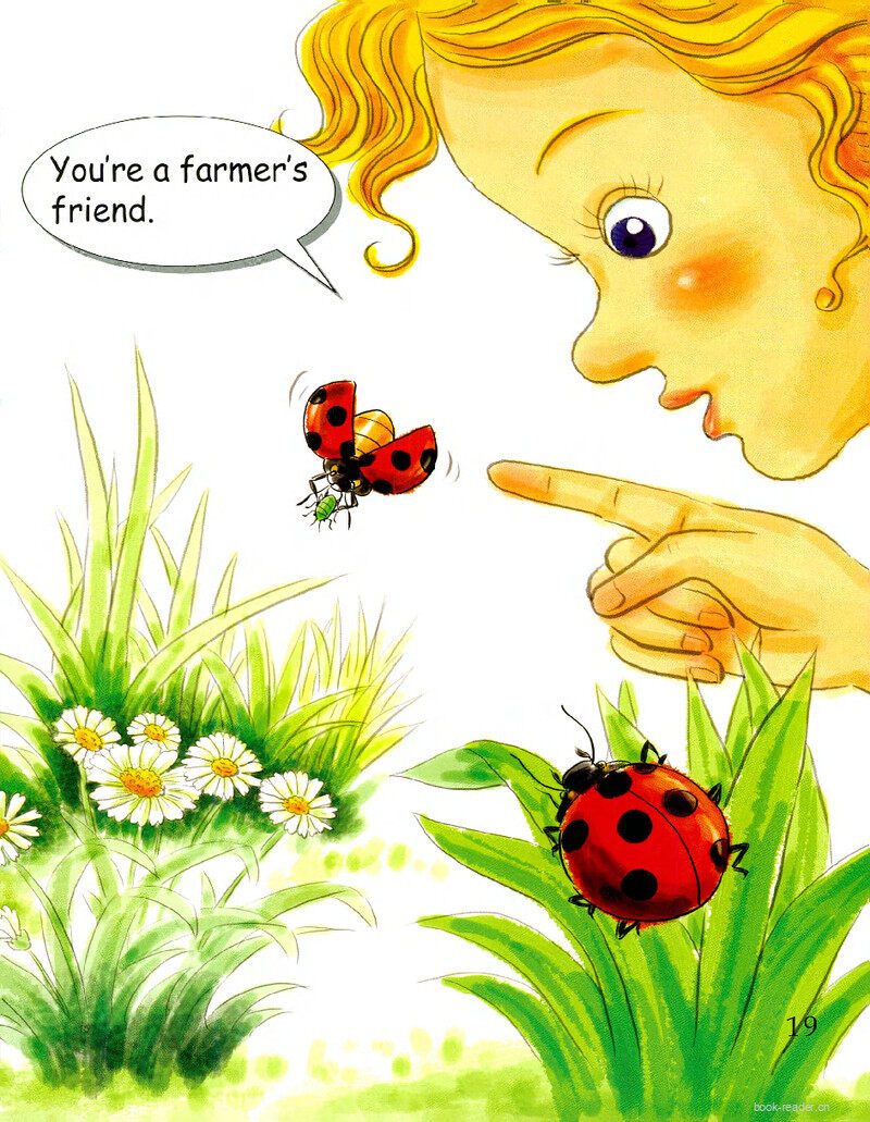 Ladybug绘本故事第3页