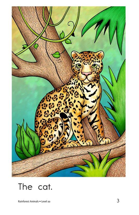 Rainforest Animals绘本故事第3页