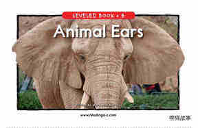 Animal Ears