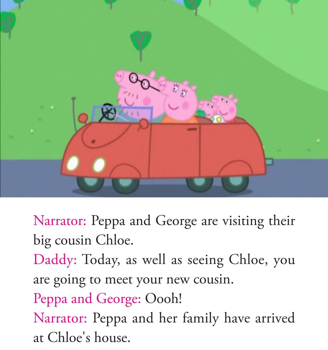 The Baby Piggy绘本故事第3页