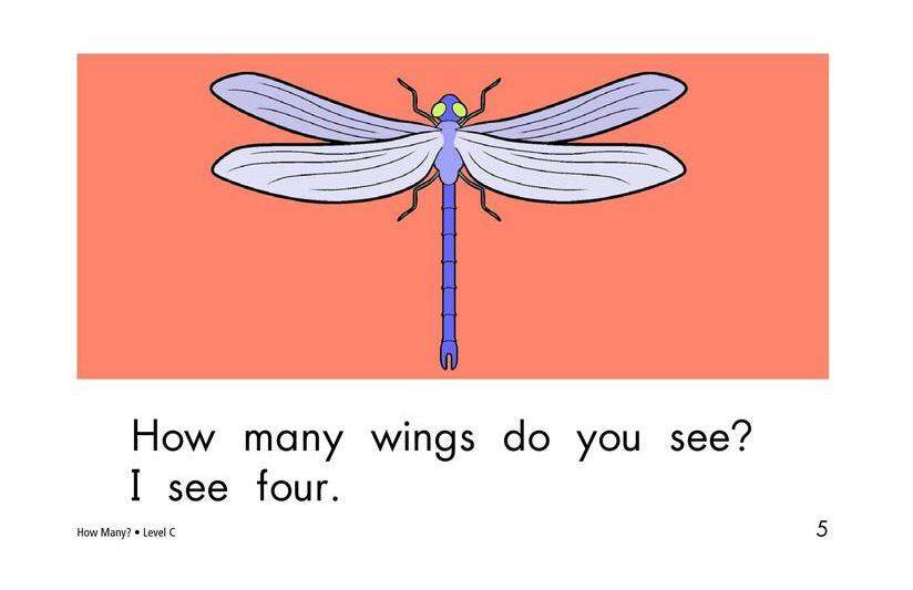 How Many绘本故事第5页