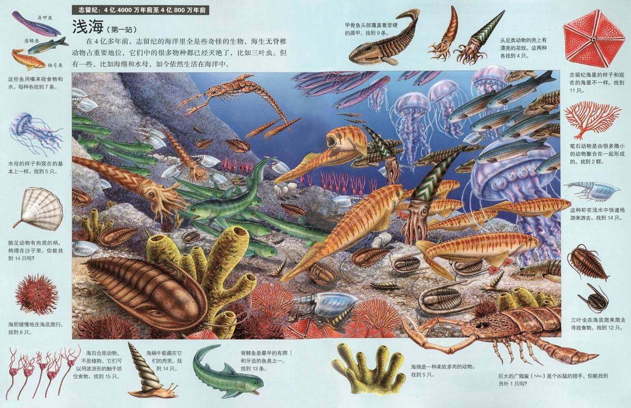 搜索消失的地球霸主绘本故事第3页
