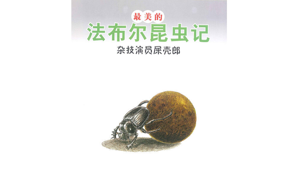 杂技演员屎壳郎绘本故事第2页