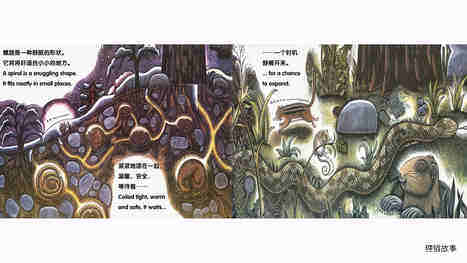 美丽的螺旋绘本故事第3页