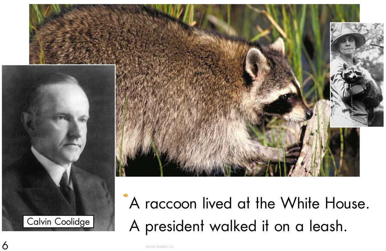 Weird White House Pets	绘本故事第5页