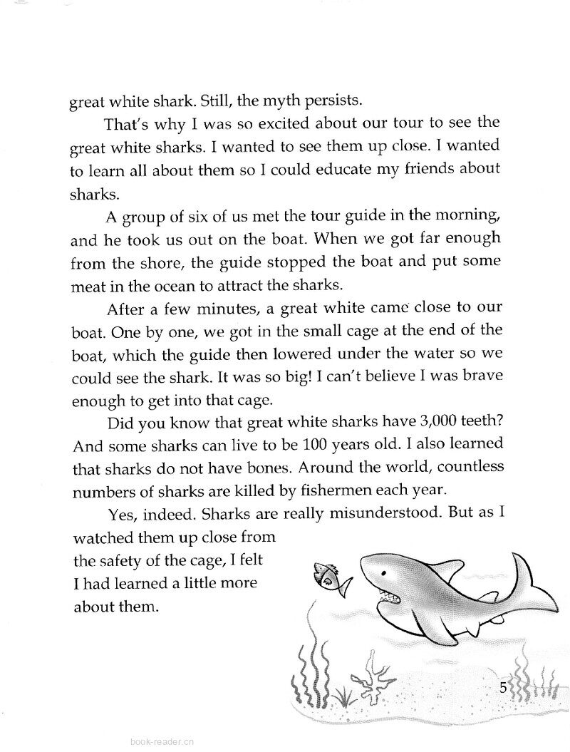 A Shark Visit绘本故事第3页