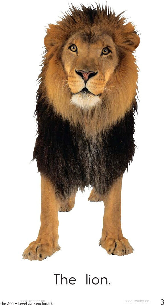 the zoo绘本故事第3页
