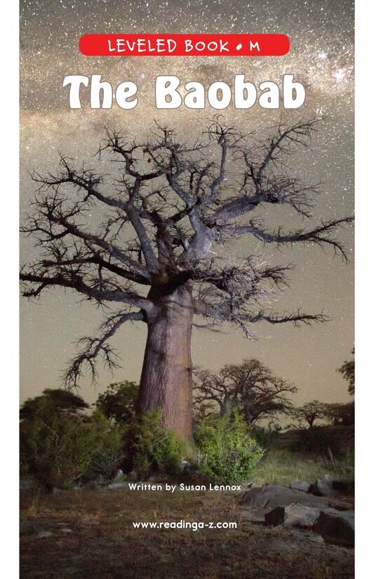 The Baobab绘本故事第2页