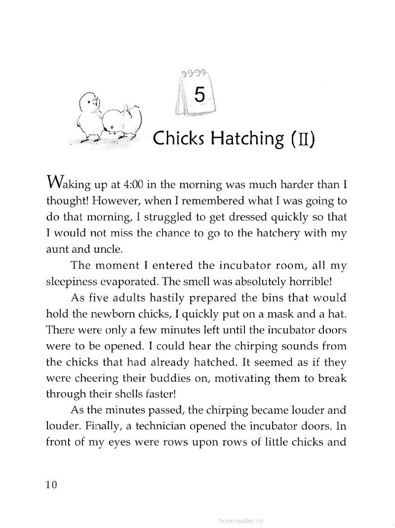 Chicks Hatching (Ⅱ)绘本故事第2页