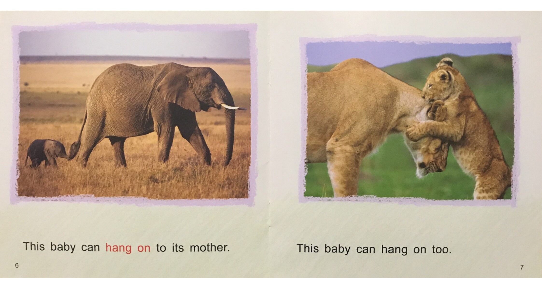 Animal Babies绘本故事第5页