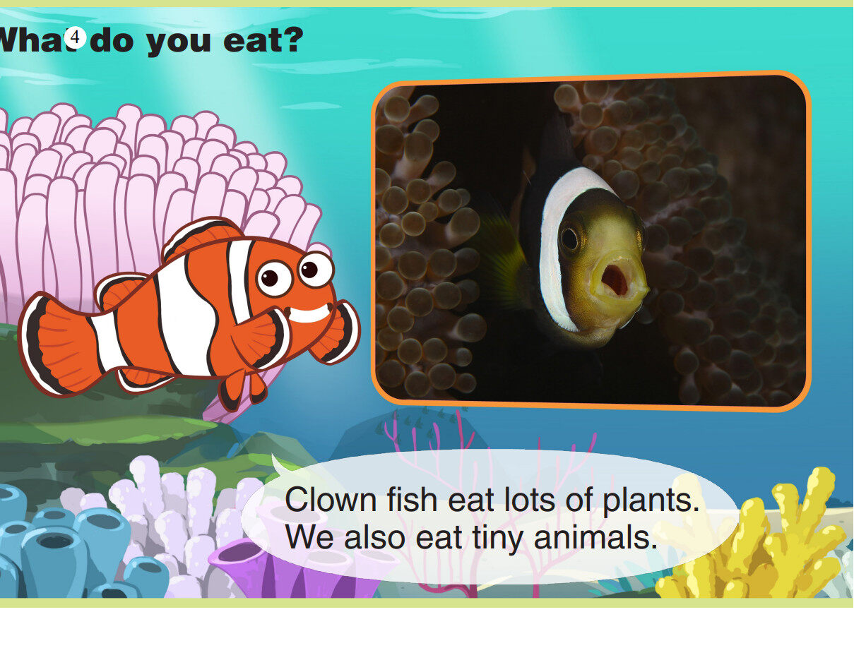 Clown Fish绘本故事第5页