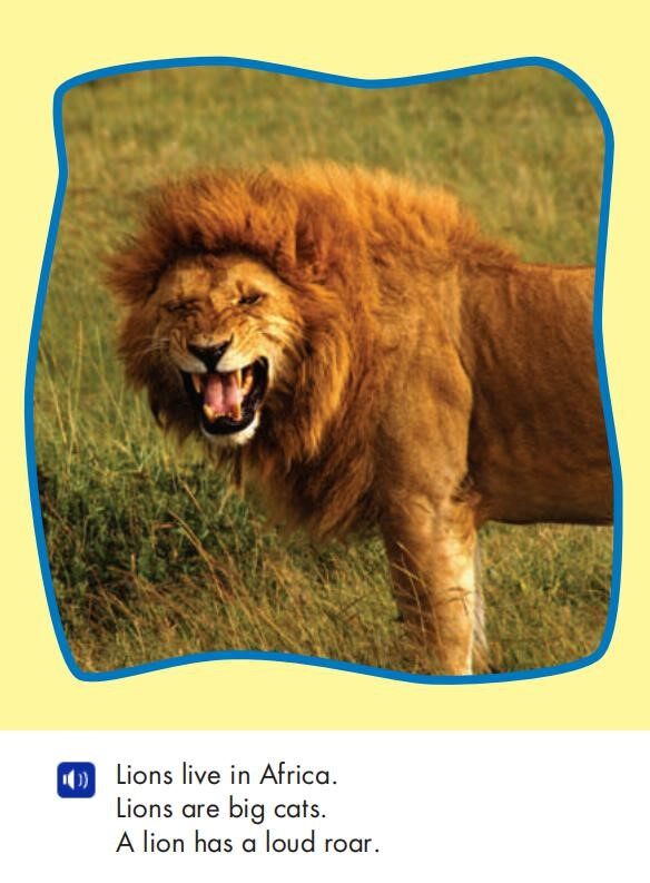 Animals of Africa绘本故事第5页