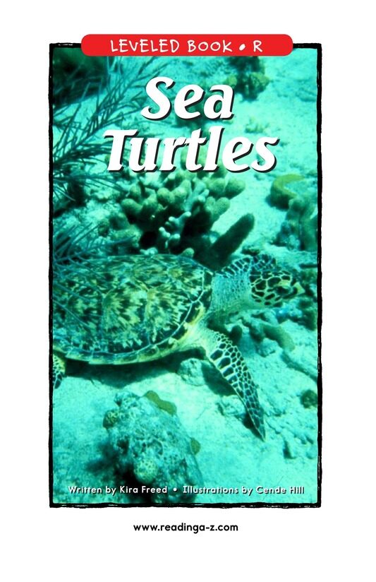 Sea Turtles绘本故事第2页