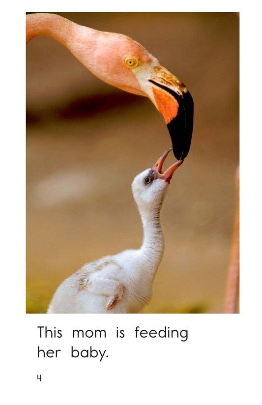 Moms Do So Much绘本故事第4页