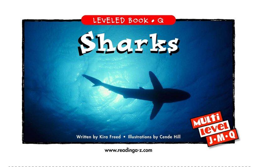 Sharks绘本故事第2页