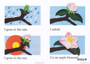(30周)I Am an Apple绘本故事第4页