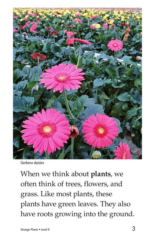 Strange Plants绘本故事第3页