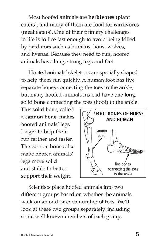 Hoofed Animals绘本故事第4页