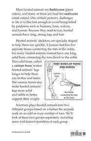 Hoofed Animals绘本故事第4页