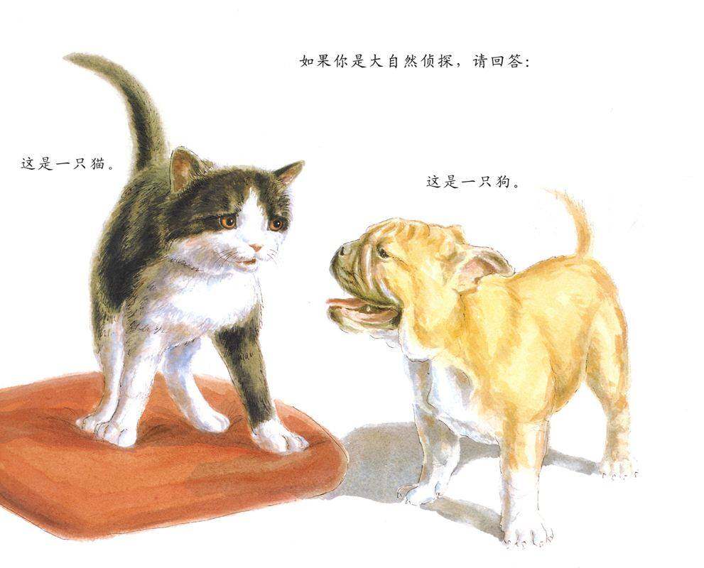 自然科学启蒙（第一辑）——大脚印，小脚印绘本故事第4页