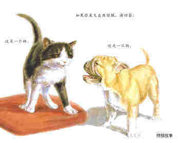 自然科学启蒙（第一辑）——大脚印，小脚印绘本故事第4页