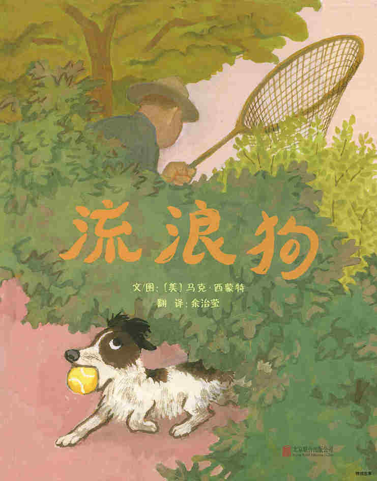 流浪狗