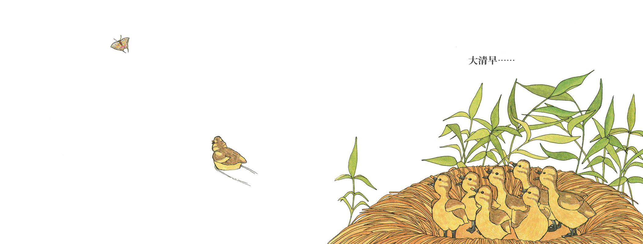 你看到我的小鸭了吗？绘本故事第2页