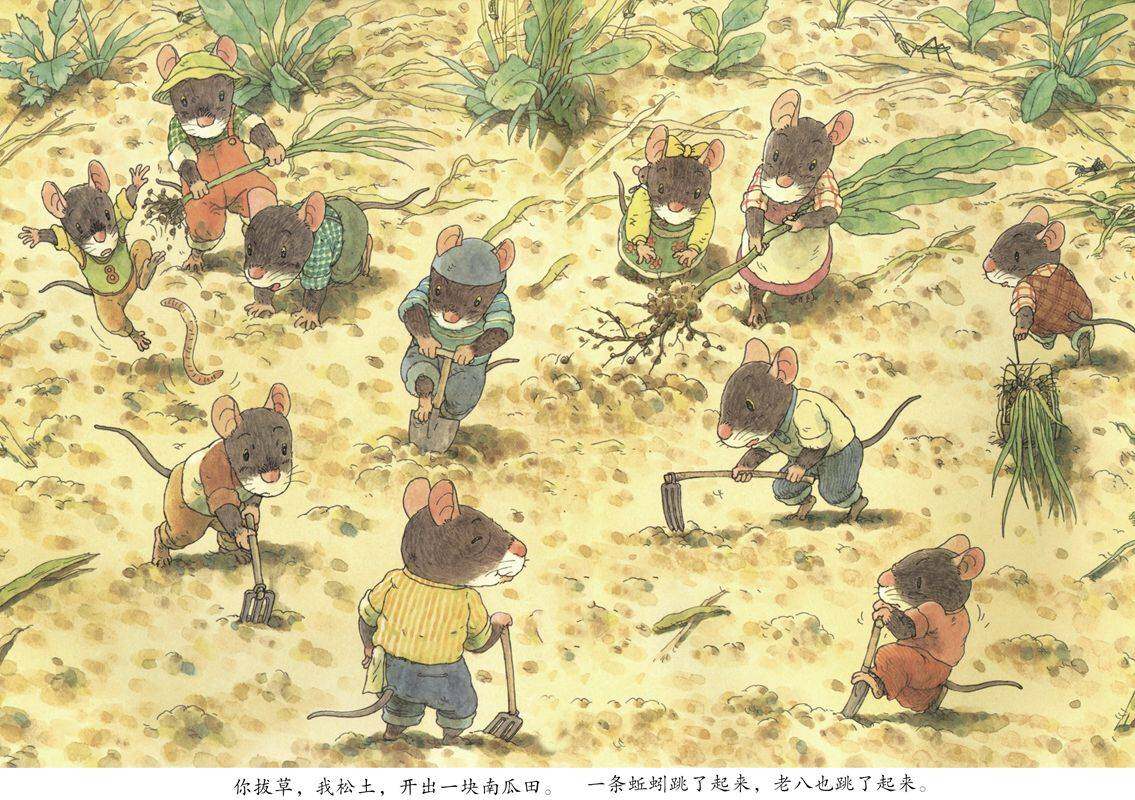 14只老鼠种南瓜绘本故事第3页