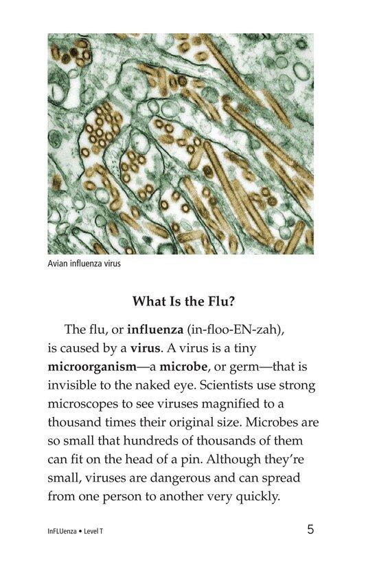 InFLUenza绘本故事第4页