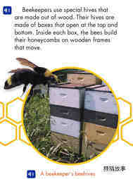 A Beekeeper's Work绘本故事第4页