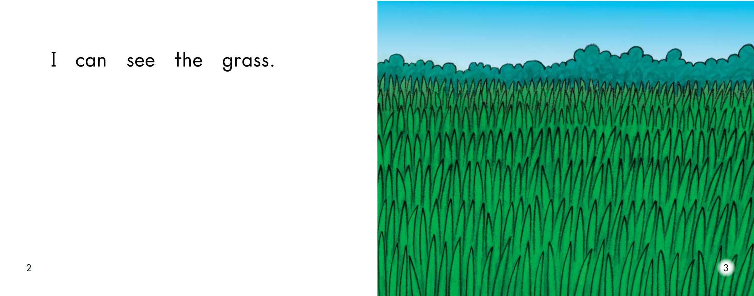 The park绘本故事第3页